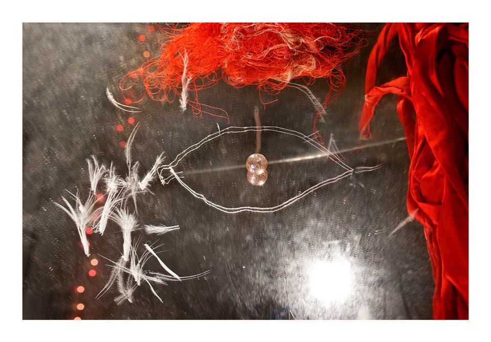 A photograph with an abstract composition showing natural elements  forming what looks to be an eye